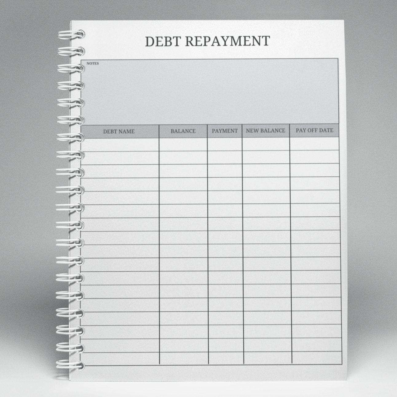 Debt Repayment Tracker